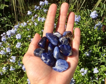 SODALITE STONE - Sodalite Tumbled Stone - Healing Crystals and Gemstones - Throat Chakra - Reiki Stones - Meditation - Self Esteem