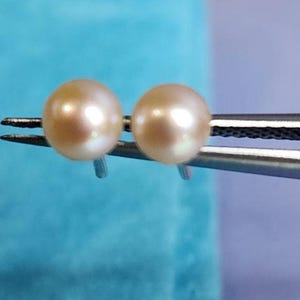 Perla de botón rosa pálido de 4,5 mm, de agua dulce. Pendientes de plata con cierre de mariposa a elegir.
