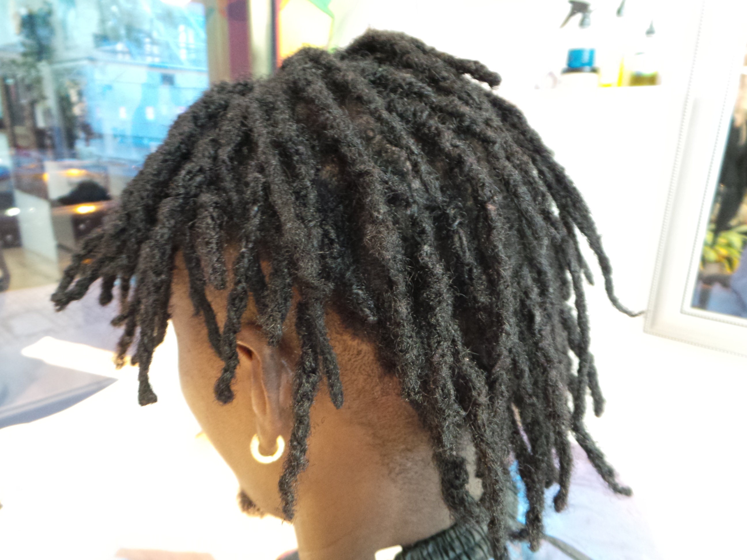 Natural Loc Extensions 10 100 Afro Kinky Human Hair