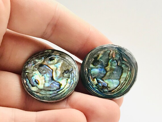 Beautiful Vintage Abalone Screw Back Earrings, St… - image 5