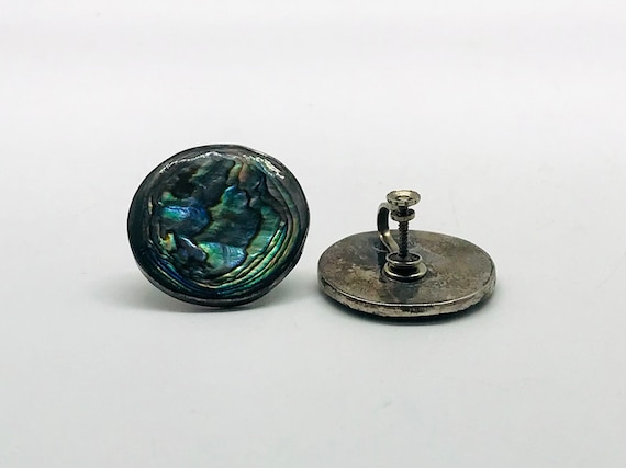Beautiful Vintage Abalone Screw Back Earrings, St… - image 1