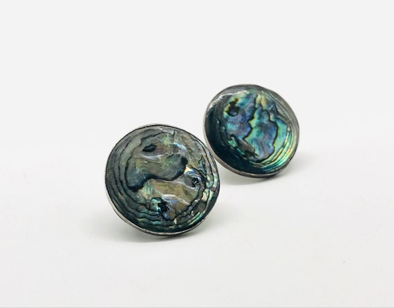 Beautiful Vintage Abalone Screw Back Earrings, St… - image 9