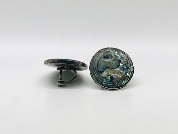 Beautiful Vintage Abalone Screw Back Earrings, St… - image 3