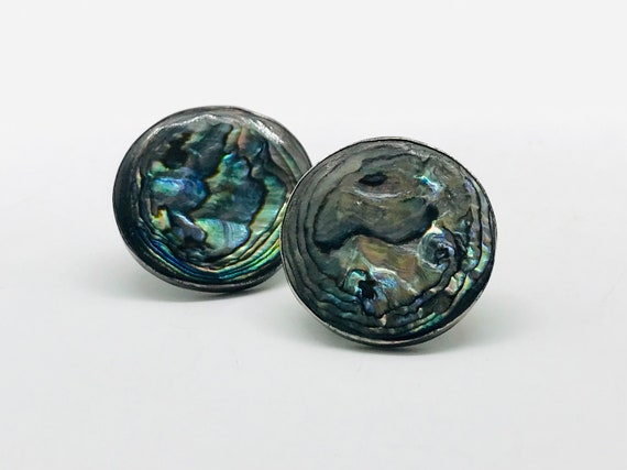 Beautiful Vintage Abalone Screw Back Earrings, St… - image 4