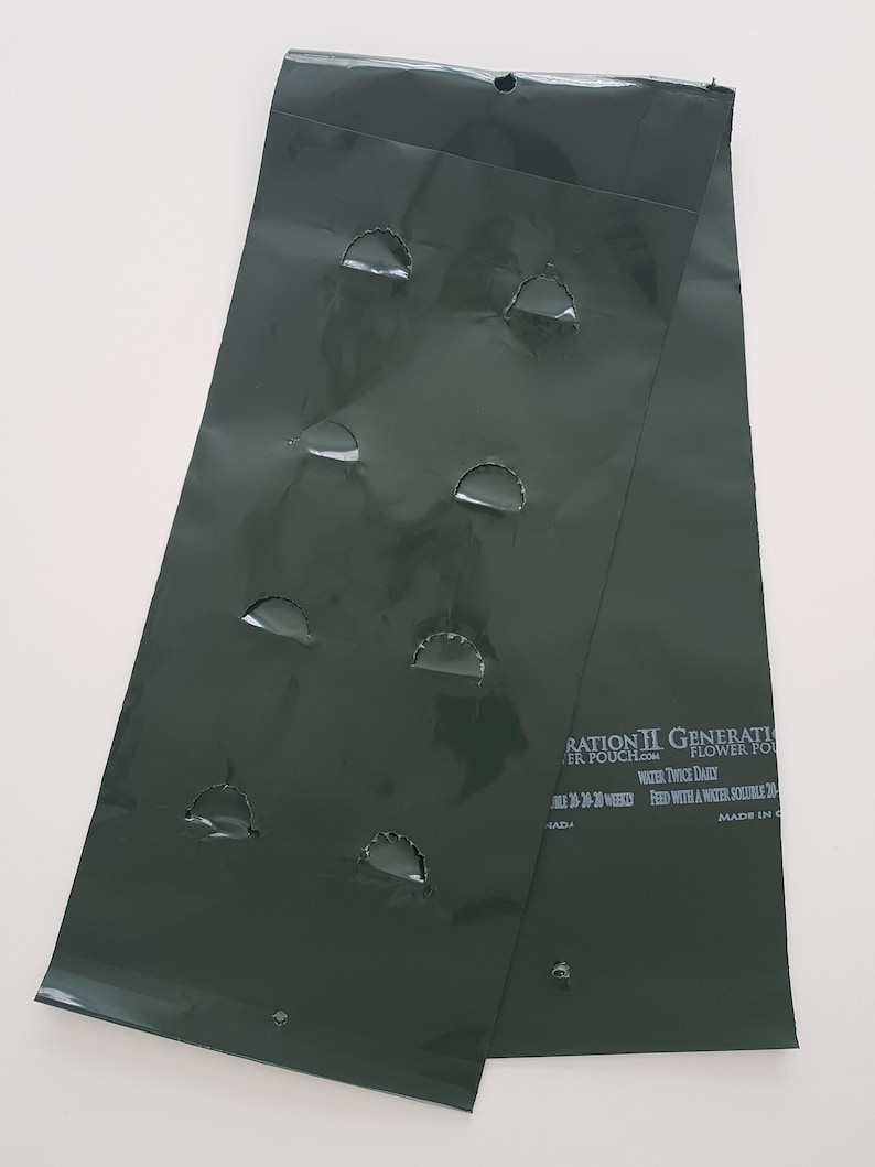 Green Loop Handle Grow Pouch - 8 Holes - 10 Pack