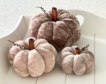 Three ‘ dark neutrals’ crushed velvet pumpkins