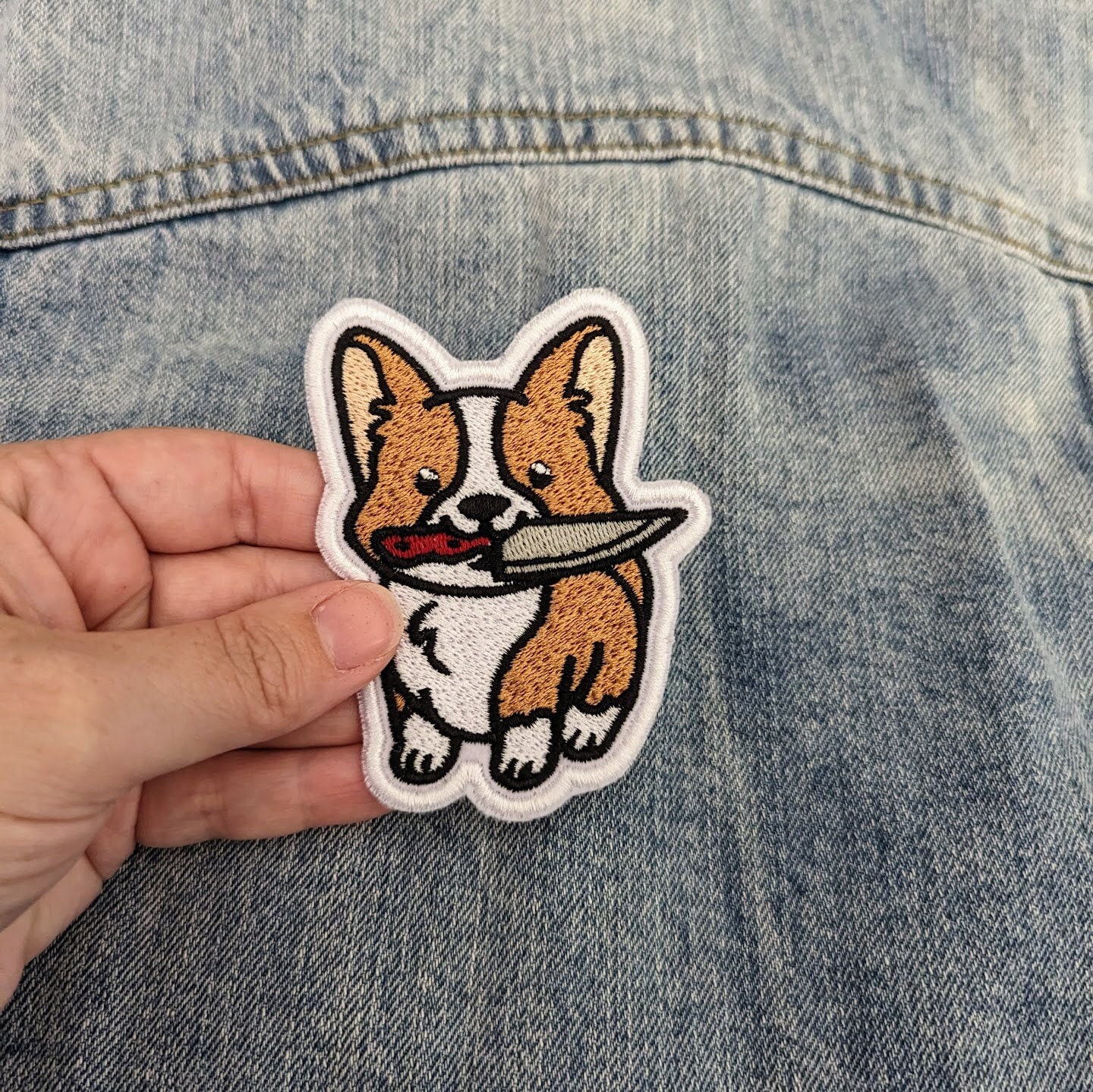 Corgi in jeans online