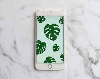 Monstera Deliciosa iPhone Background/Wallpaper