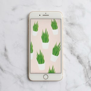 Snake Plant iPhone Background/Wallpaper