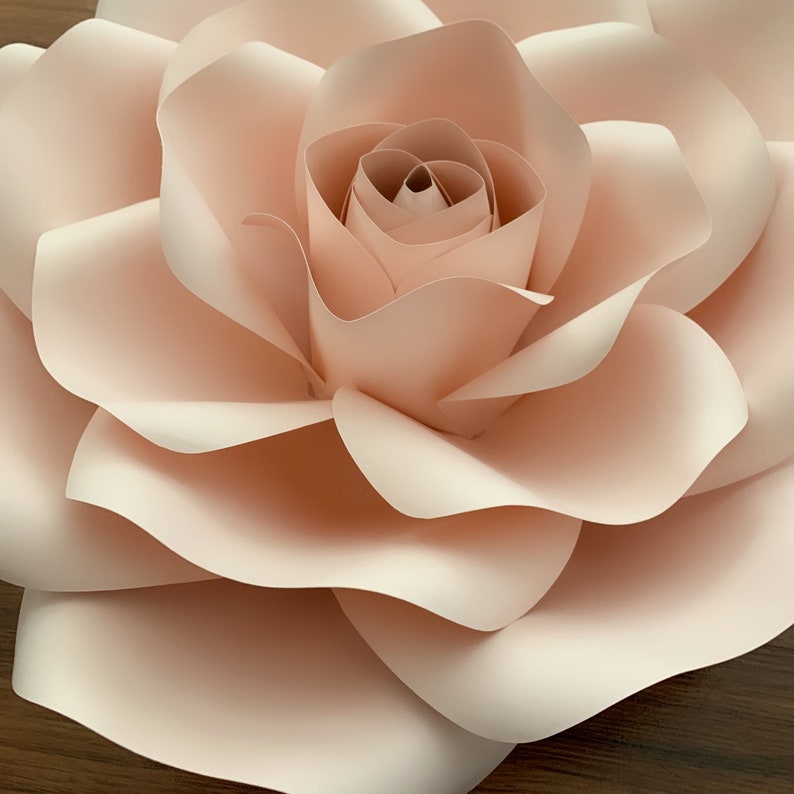 Free Free 118 Cricut Large Flower Svg SVG PNG EPS DXF File
