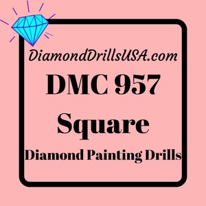 170 Pcs Replacement Resin Diamond Drills Diamond Painting Kits Square Drill  Round Drill DMC 956 957 958 959 961 962 963 964 966 967 970 971 