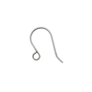May include: Silver-toned earring hook with a small loop at the top.