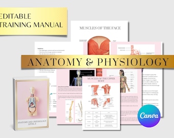 Anatomy and Physiology Level 3 Training Manual | 126 Pages + Quiz + Answers | Editable Canva Template