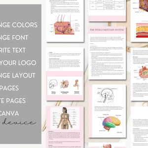 Anatomy and Physiology Training Manual, Editable training manual template, pathway to aesthetics training.