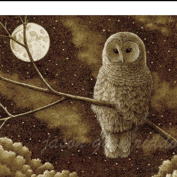 Barred Owl in the Moonlight Giclee Print poster - Owl Art - Full Moon - Fine Art Print - Starry Night - Owl Nursery Print - Nature Print