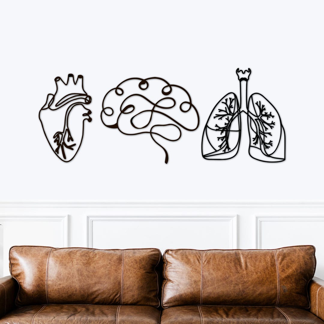 Health Science Decor 3 Piece Wood Wall Art, Medical Office Decor, Doctor Gift, Human ...