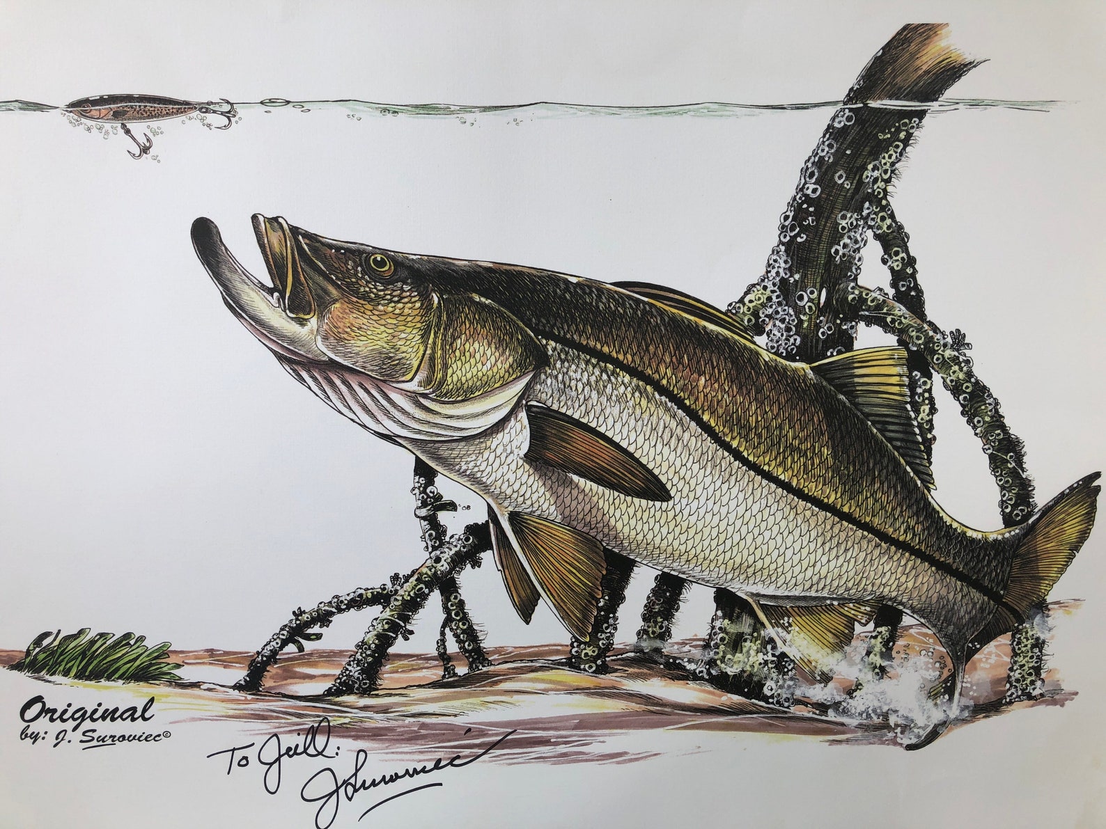 J. Suroviec snook fish print signed lithograph bright and Etsy