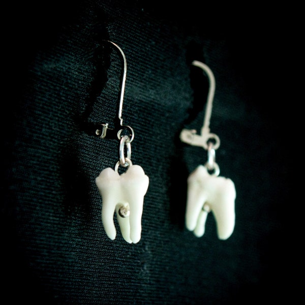 raccoon tooth earrings, antique silver earring, animal tooth, oddity animal molar, dainty taxidermy jewelry, bone earring, real bone jewelry