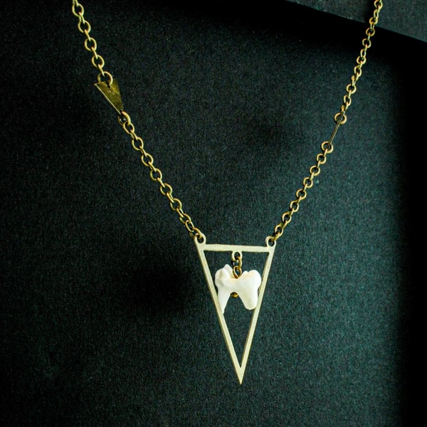 coyote tooth necklace, antique brass necklace, animal bone jewelry, taxidermy necklace, geometric triangle charm, real bone witch jewelry