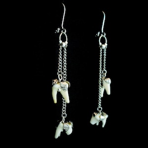 Antiekzilveren echte oorbellen met wasbeertanden voor heksen en gothics