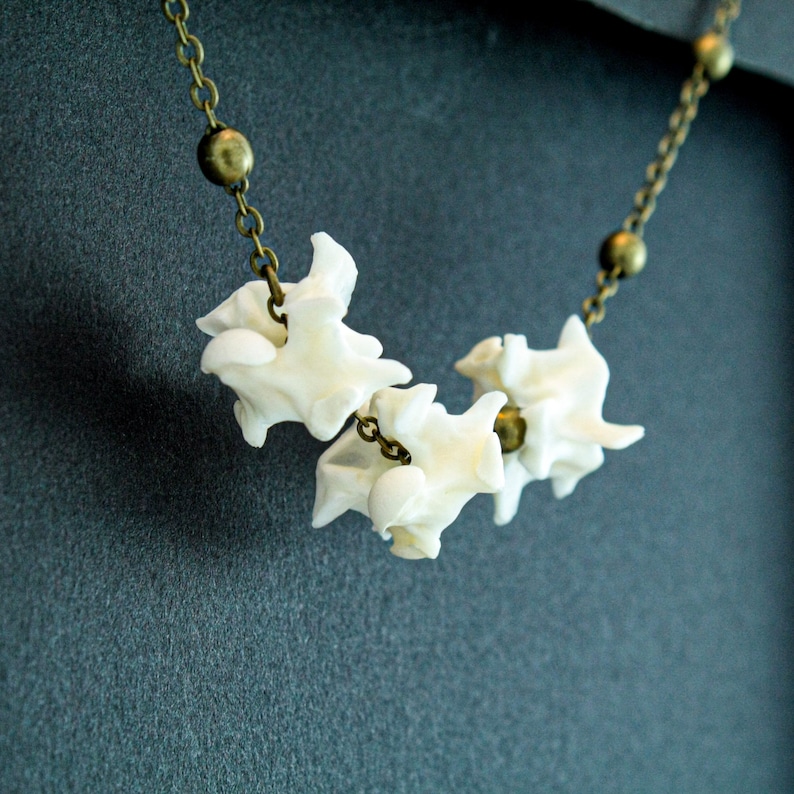 Snake Vertebrae Necklace Antique Brass Necklace Taxidermy Etsy