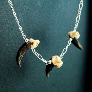 Coyote claw necklace, genuine coyote bone jewelry, oddity bone necklace, coyote claw jewelry, animal claw necklace, animal claw bone jewelry
