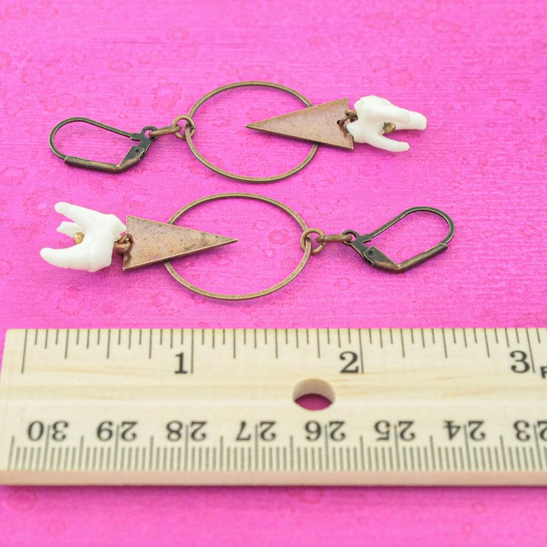 Puede incluir: Un par de pendientes con un dije de diente blanco y un colgante de tri&aacute;ngulo de cobre que cuelga de un aro de bronce. Los pendientes se muestran sobre un fondo rosa con una regla para la escala.