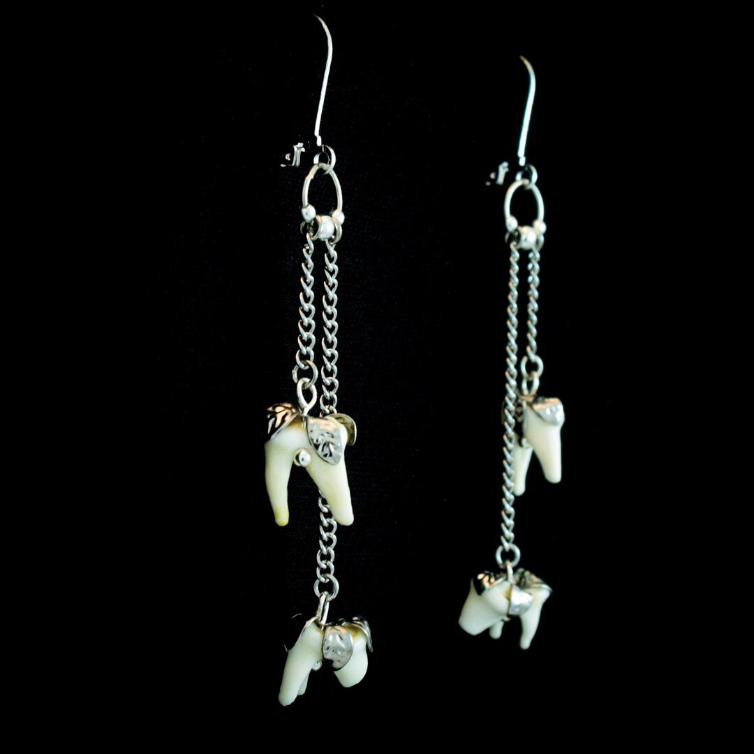 Real coyote tooth earrings, antique silver earrings, animal bone jewelry, taxidermy earrings, oddity jewelry, silver leaf earrings, teeth