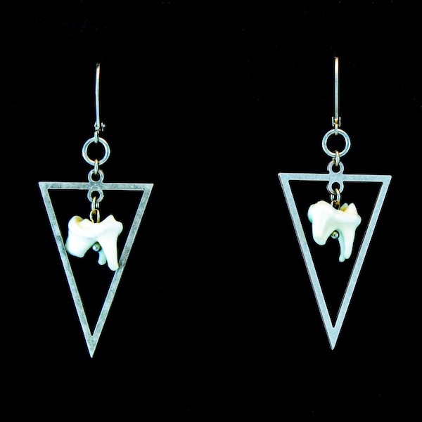 coyote tooth earrings, antique silver earrings, animal bone jewelry, taxidermy earrings, coyote bone, geometric triangle, taxidermy jewelry