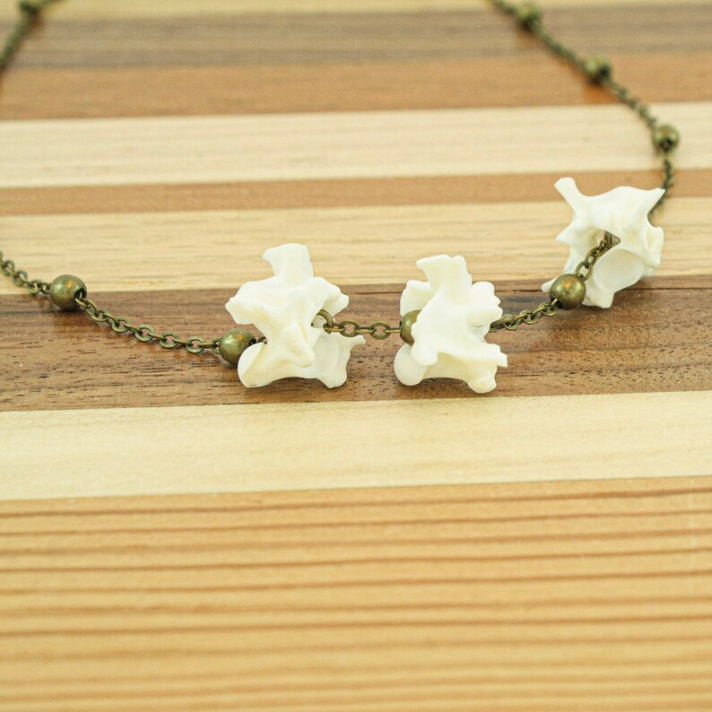 Snake Vertebrae Necklace Antique Brass Necklace Taxidermy Etsy