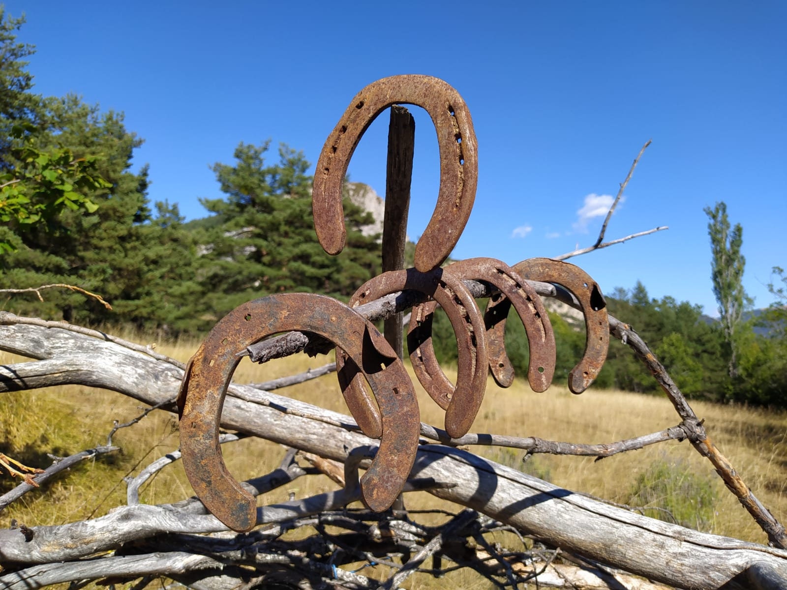 Fer à Cheval Ancien Français, Porte Bonheur Au Choix