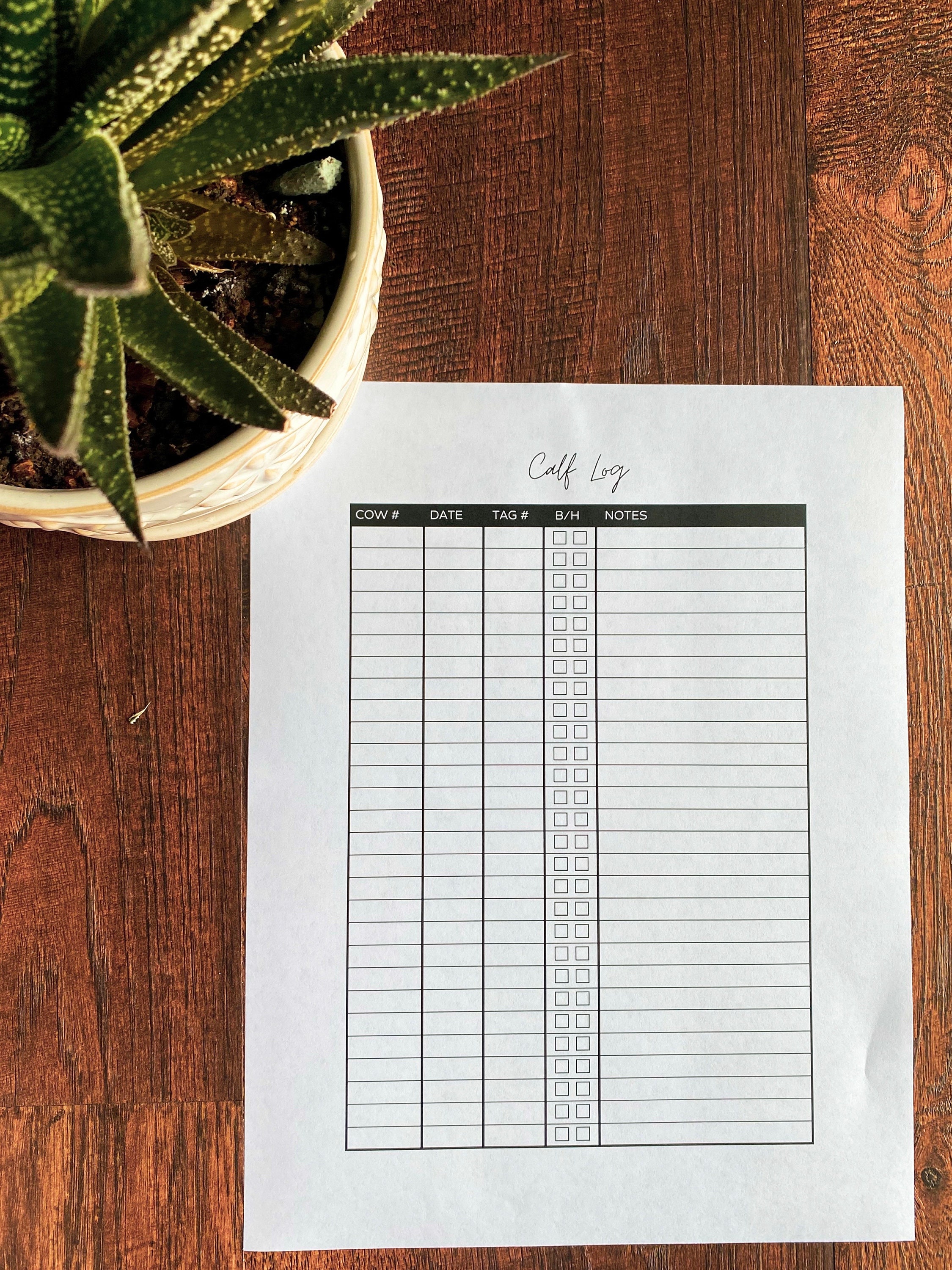2025 Cattle Calendar Printable Planner Farm and Ranch Records Cattle