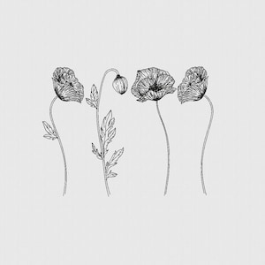 Puede incluir: Un dibujo lineal en blanco y negro de cuatro flores de amapola. La imagen muestra las flores en diferentes etapas de floración, desde el capullo hasta la plena floración. Los pétalos detallados y los largos tallos se representan sobre un fondo blanco roto.
