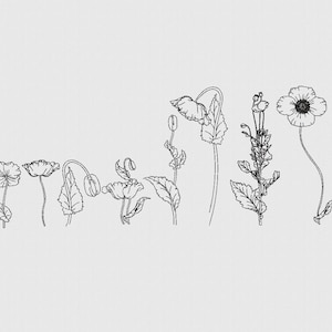 Poppy Flower Collection 2 - Botanical - Machine Embroidery Designs - 8 Designs - 5-9 Sizes - 8 Formats - Instant download
