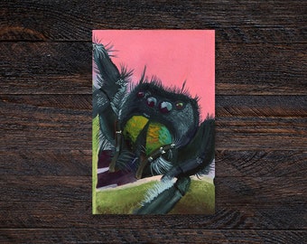 Jumping Spider Matte Illustrated Fine Art Print | Wall Decor | 4x6, 5x7 | Gift, Pet, Wildlife