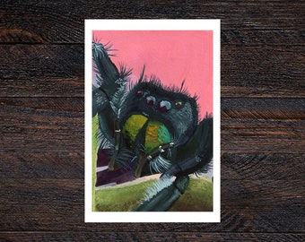 Jumping Spider Matte Illustrated Fine Art Print | Wall Decor | 4x6, 5x7 | Gift, Pet, Wildlife