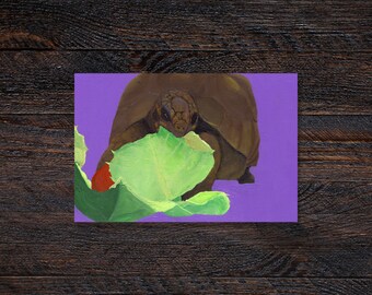 Lettuce Tortoise Matte Illustrated Fine Art Print | Wall Decor | 4x6, 5x7 | Gift, Herpetology, Reptile, Pet