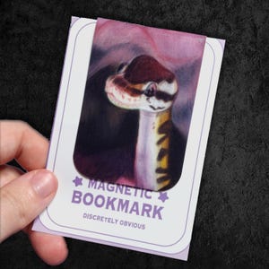 Ball Python 2x3" Magnetic Satin Illustrated Fine Art Bookmark | Reading, Library, Bookworm