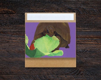 Lettuce Tortoise 3.5x5" Blank Greeting Card | Birthday, Holiday, Celebration, Gift, Occasion