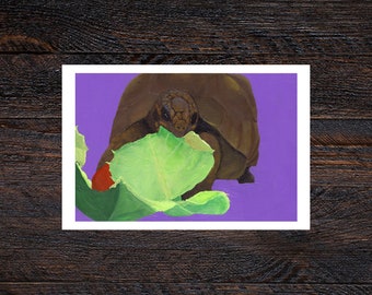 Salat Schildkröte Matt Illustriert Fine Art Print | Wanddekoration | 4x6, 5x7 | Geschenk, Herpetologie, Reptil, Haustier