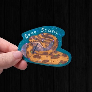 May include: A sticker with a cartoon snake in brown and yellow, with the words "So co Scary" in blue. The snake is coiled and has a black tongue. The sticker has a teal border with star accents.