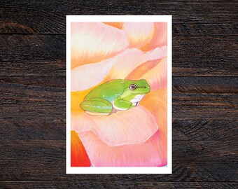 Rose Frog Matte Illustrated Fine Art Print | Wall Decor | 4x6, 5x7 | Gift, Herpetology, Amphibian, Pet