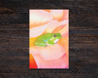 Rose Frog Matte Illustrated Fine Art Print | Wall Decor | 4x6, 5x7 | Gift, Herpetology, Amphibian, Pet