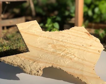 Topographical Wood State