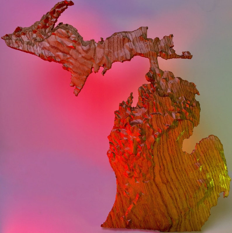 Wooden Topographical Map of Michigan Wall Art 3D Map | Etsy