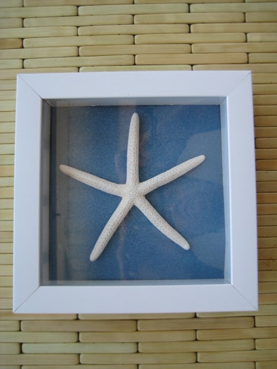Sand Dollar Starfish Wall Art Home Decor X Etsy Sand Dollar Starfish Wall Art Home Decor X Etsy