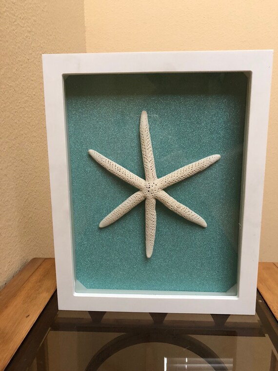 Rare Legged Starfish Wall Art Home Decor X White Shadow Etsy Rare Legged Starfish Wall Art Home Decor X White Shadow Etsy
