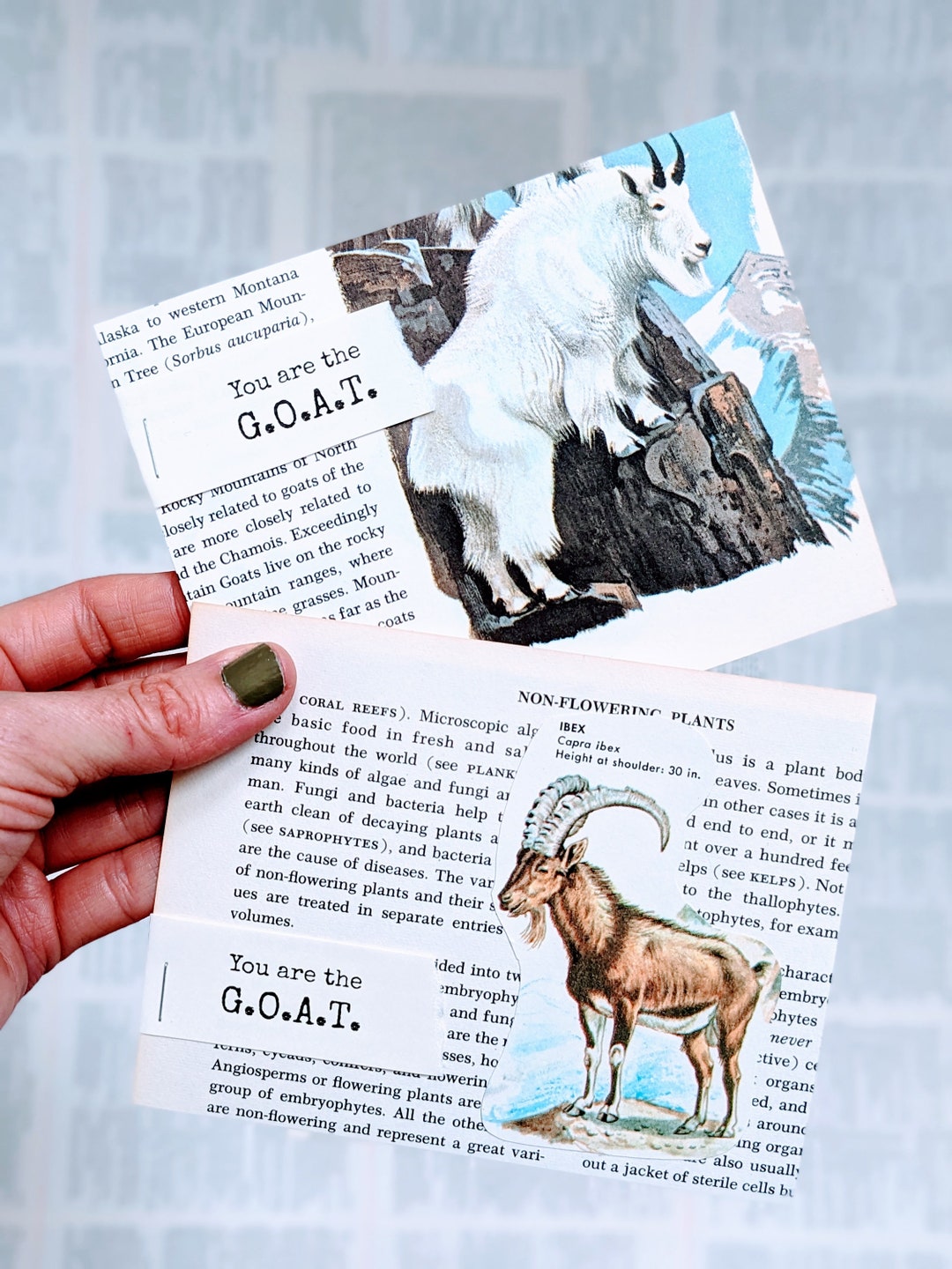 The GOAT Card, Graduation or Congratulations Card Made With Vintage ...