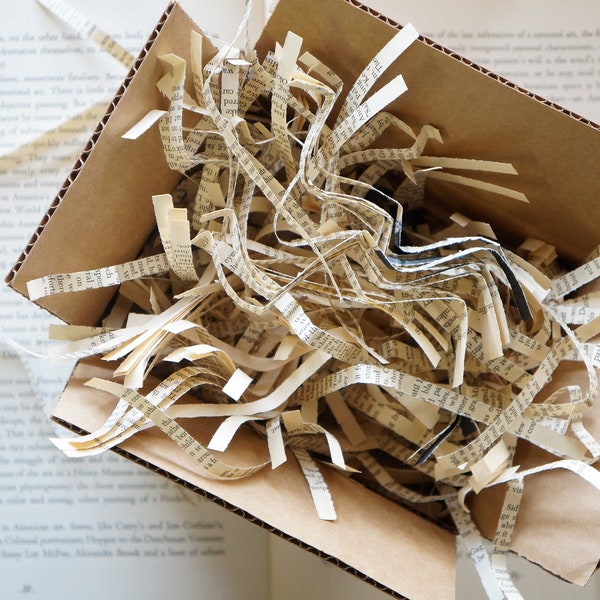 Bookish Gift Wrap Packaging Material, Shredded Book Pages, Unique  Recycled Packing Material, Book Lover Gift, bookish literary BookologyCo