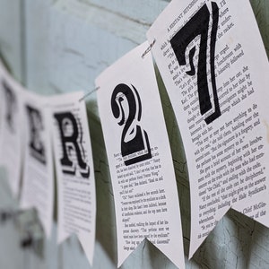 Custom Bookish Birthday Banner | Next Chapter Party Decor | Vintage Book Page Bunting image 7